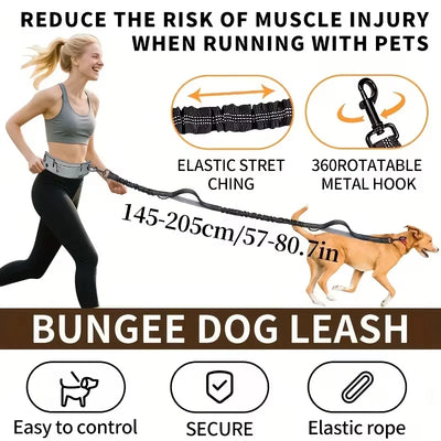 The Hands-Free Dog Leash