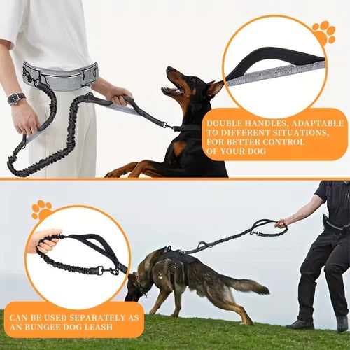 The Hands-Free Dog Leash