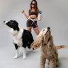 The Hands-Free Dog Leash
