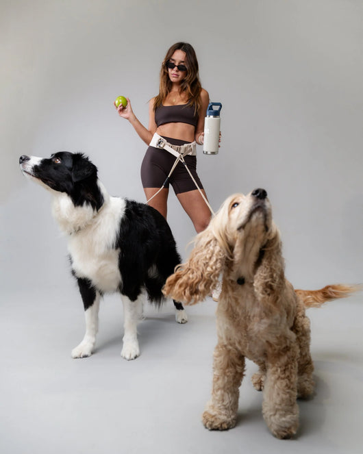 The Hands-Free Dog Leash